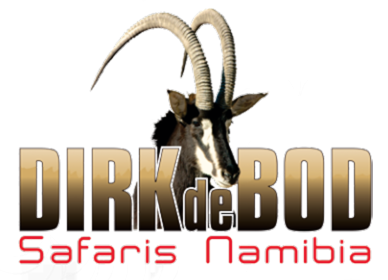 Dirk de Bod