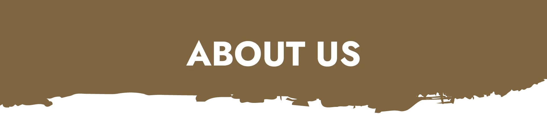 DDBS-PgHeaderImg-about-us